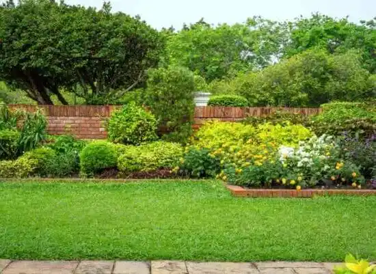 landscaping services Clarkton